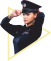 Pořádková policie